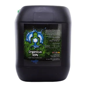 Buddhas Tree Organicus