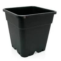 POTS Square 3.5L -11cm²