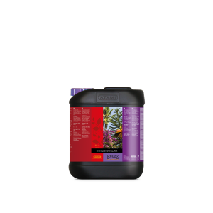 B’Cuzz Coco Bloom Stimulator