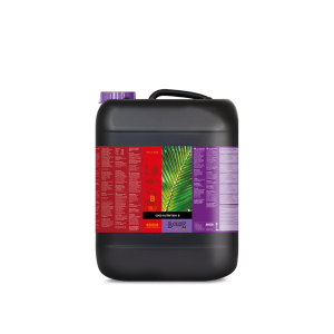 Atami B’Cuzz Coco Nutrition A&B