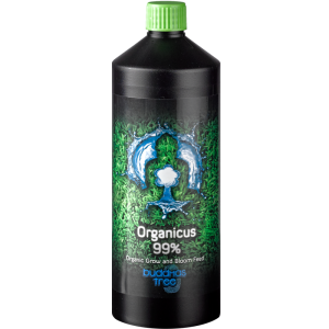 Buddhas Tree Organicus