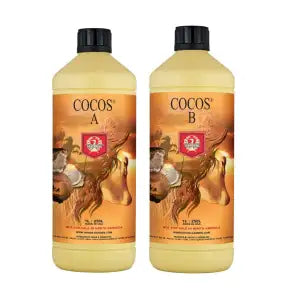 House & Garden Coco A&B