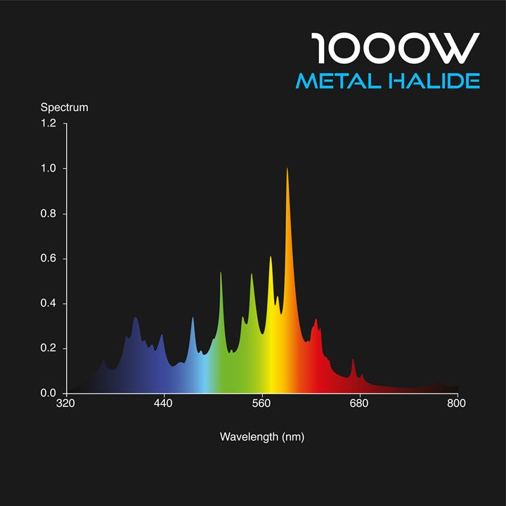 Omega Metal Halide Lamp