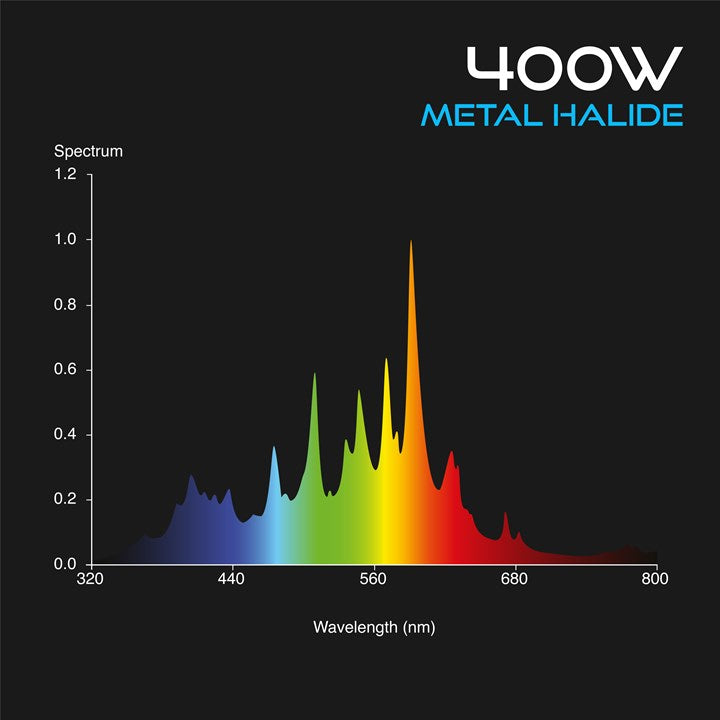 Omega Metal Halide Lamp