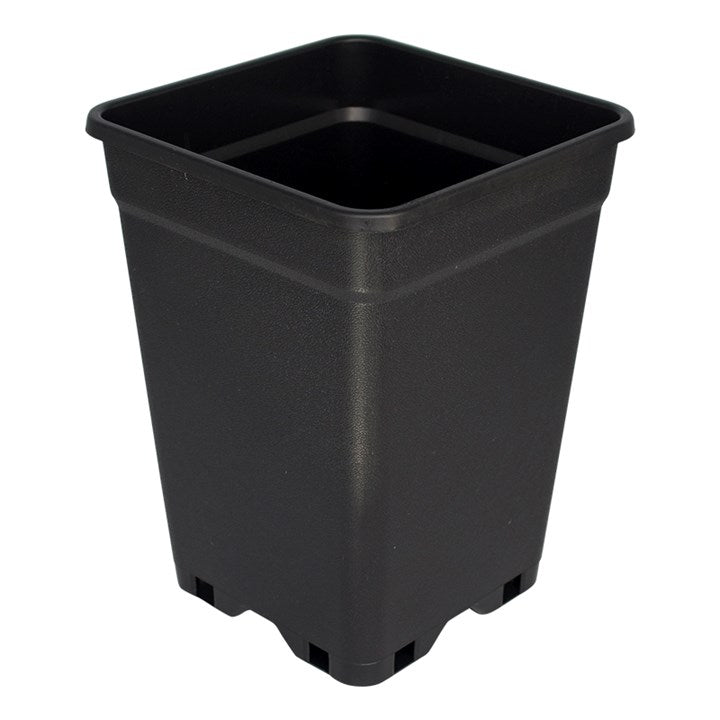 Square Pot