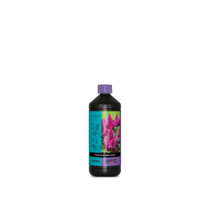 Atami Blossom Builder Liquid