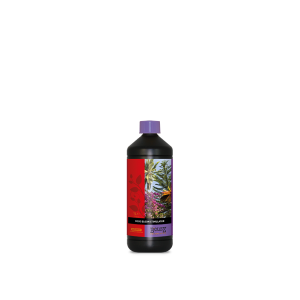 B’Cuzz Coco Bloom Stimulator