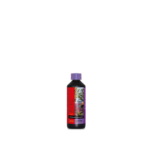 B’Cuzz Coco Bloom Stimulator