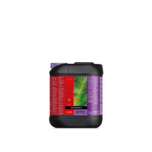 Atami B’Cuzz Coco Nutrition A&B