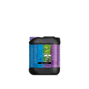 B’Cuzz Hydro Nutrition A&B