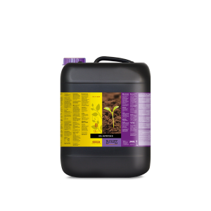 B’Cuzz Soil Nutrition A&B