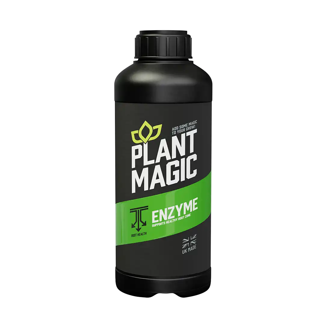 Plant Magic Enzymes