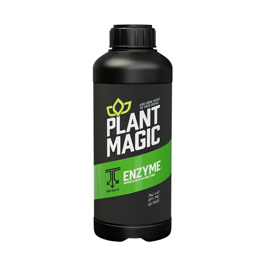 Plant Magic Enzymes