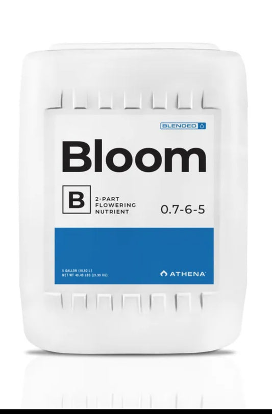 Athena bloom A+B