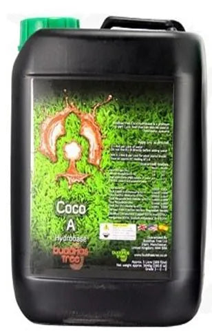 Buddhas Tree Coco A&B