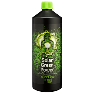 Buddhas Tree Solar Power