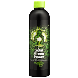 Buddhas Tree Solar Power