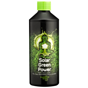 Buddhas Tree Solar Power