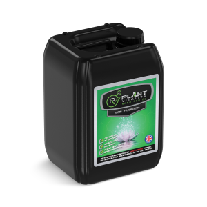 Plant Vitality Soil Flower