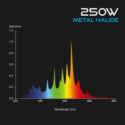 Omega Metal Halide Lamp