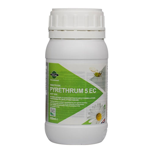 Pyrethrum 5Ec 250ml