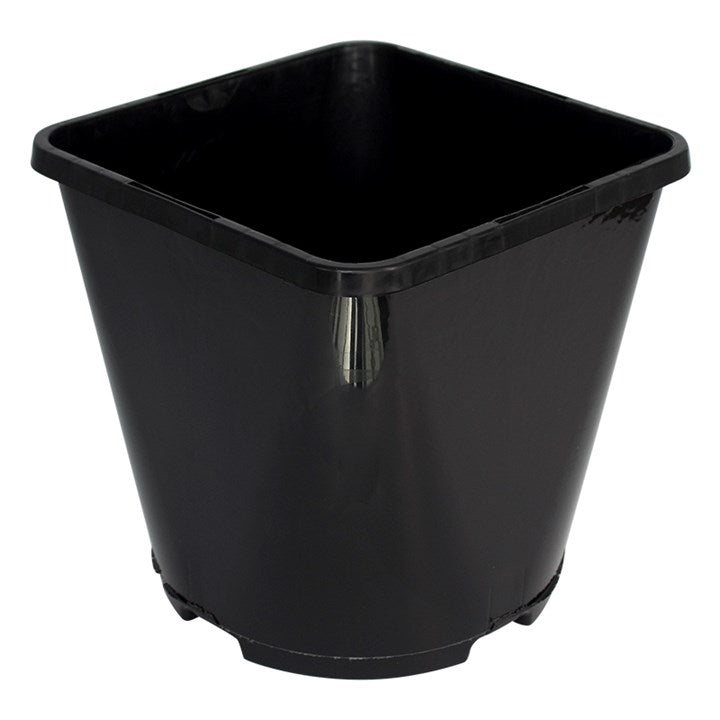 Square Round Pot
