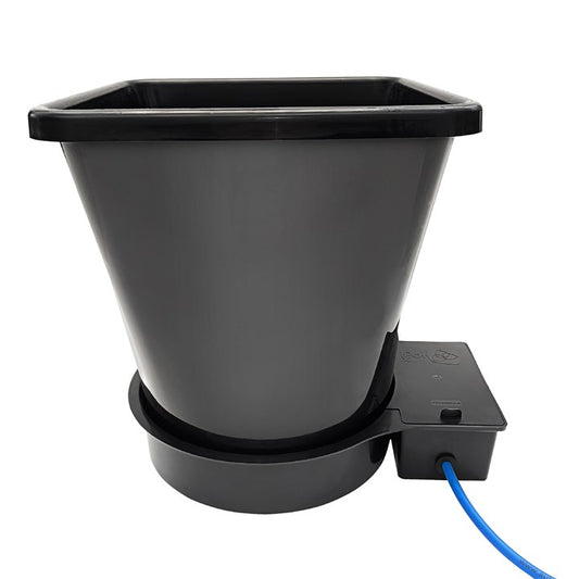 AutoPot 1Pot XL Module